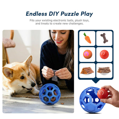 Unique Interactive Dog Toy with Ball. Chosen for real quality, fits naturally into modern pet homes.