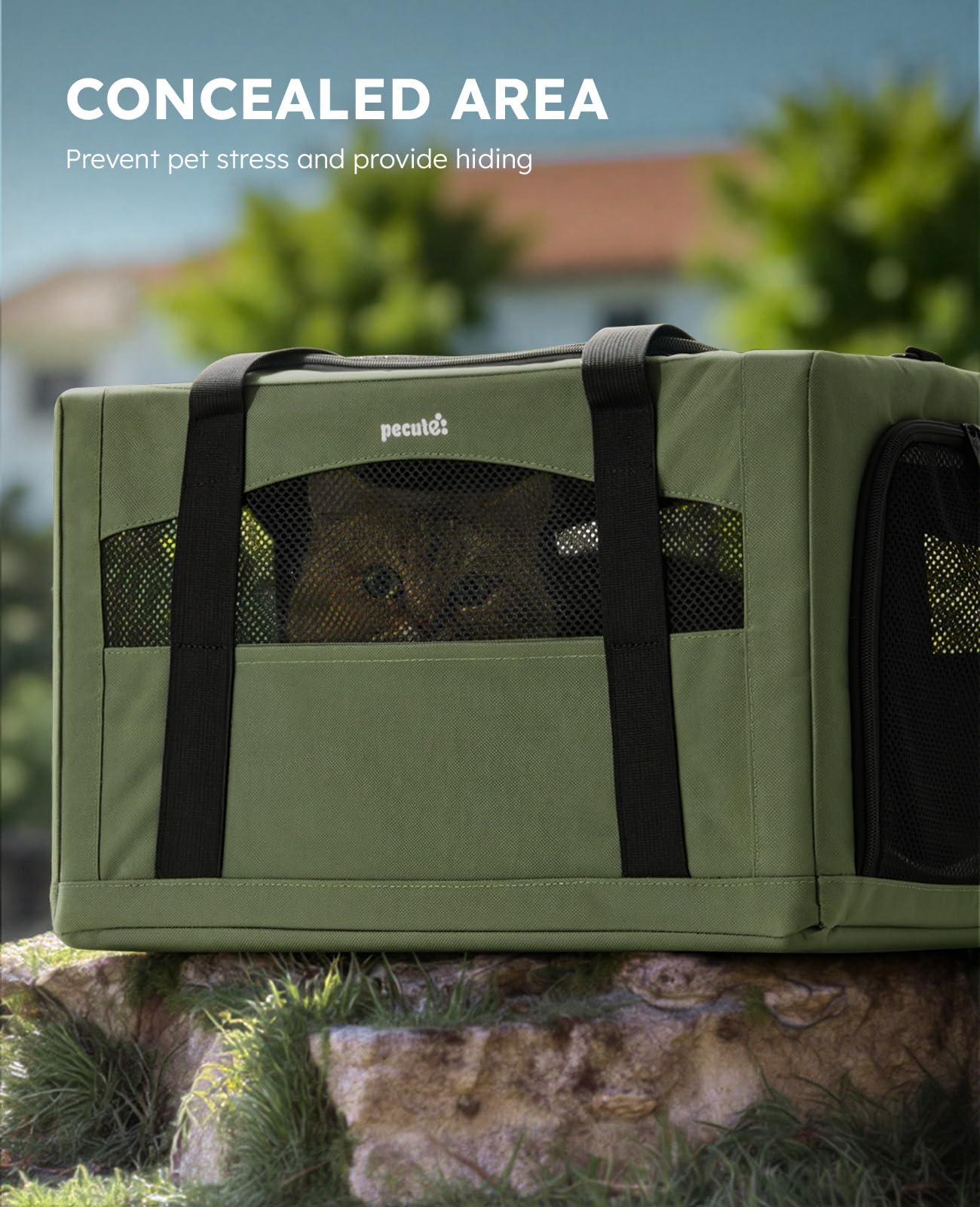 Pecute Cat Carrier Stable. Chosen for real quality, fits naturally into modern pet homes.