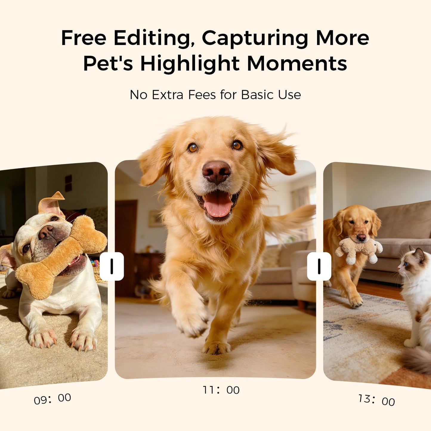 2026 3K Pet Camera Treat Dispenser. Chosen for real quality, fits naturally into modern pet homes.