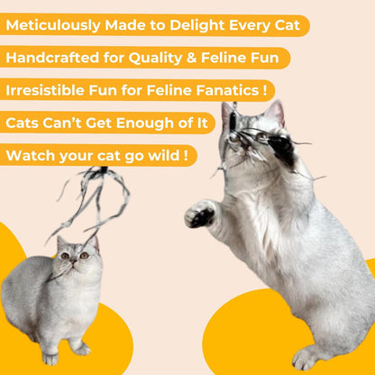 Cat Wand 38" - Retractable Cat String Toy with Spider Teaser and Refill, Perfect Interactive Toy for Indoor Cats and Kittens