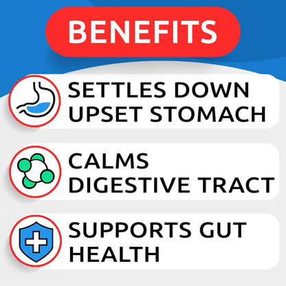 BARK&SPARK Pumpkin Powder for Dogs - 16.2oz Powdered Fiber Supplement and Stool Softener - Upset Stomach, Food Sensitivity - Improve Digestion - 16.2oz Powder