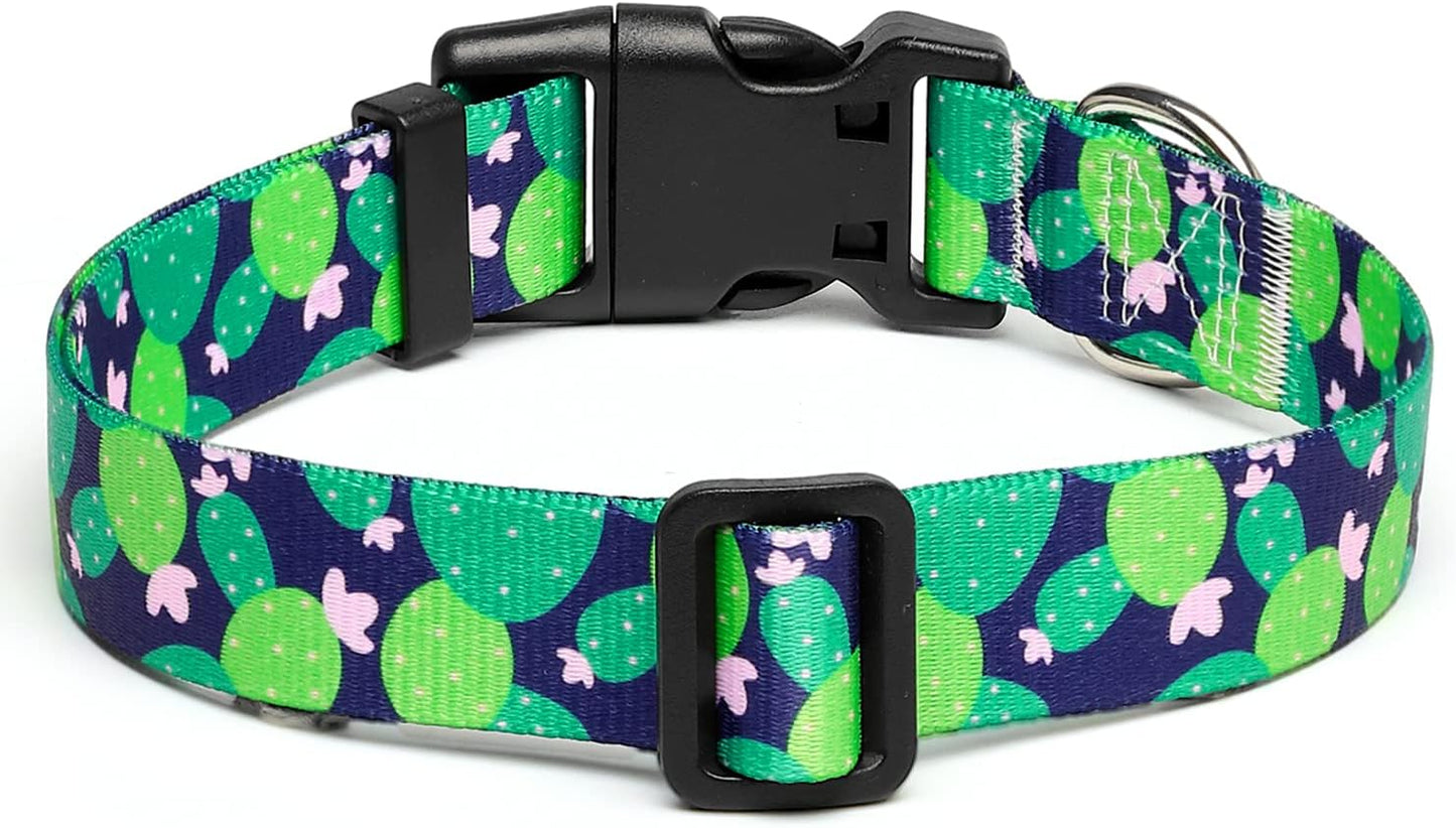 Mercano Adjustable Dog Collar - Special Design Patterns, Soft Nylon Comfortable Sturdy Pet Collar for Small Medium Large Dogs (S, Cactus)