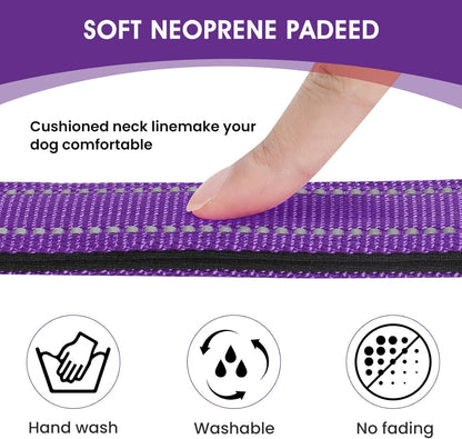 Reflective Dog Collar Padded with Soft Neoprene Breathable Quick Release Basic Dog Collars for Medium Dogs Purple Girl