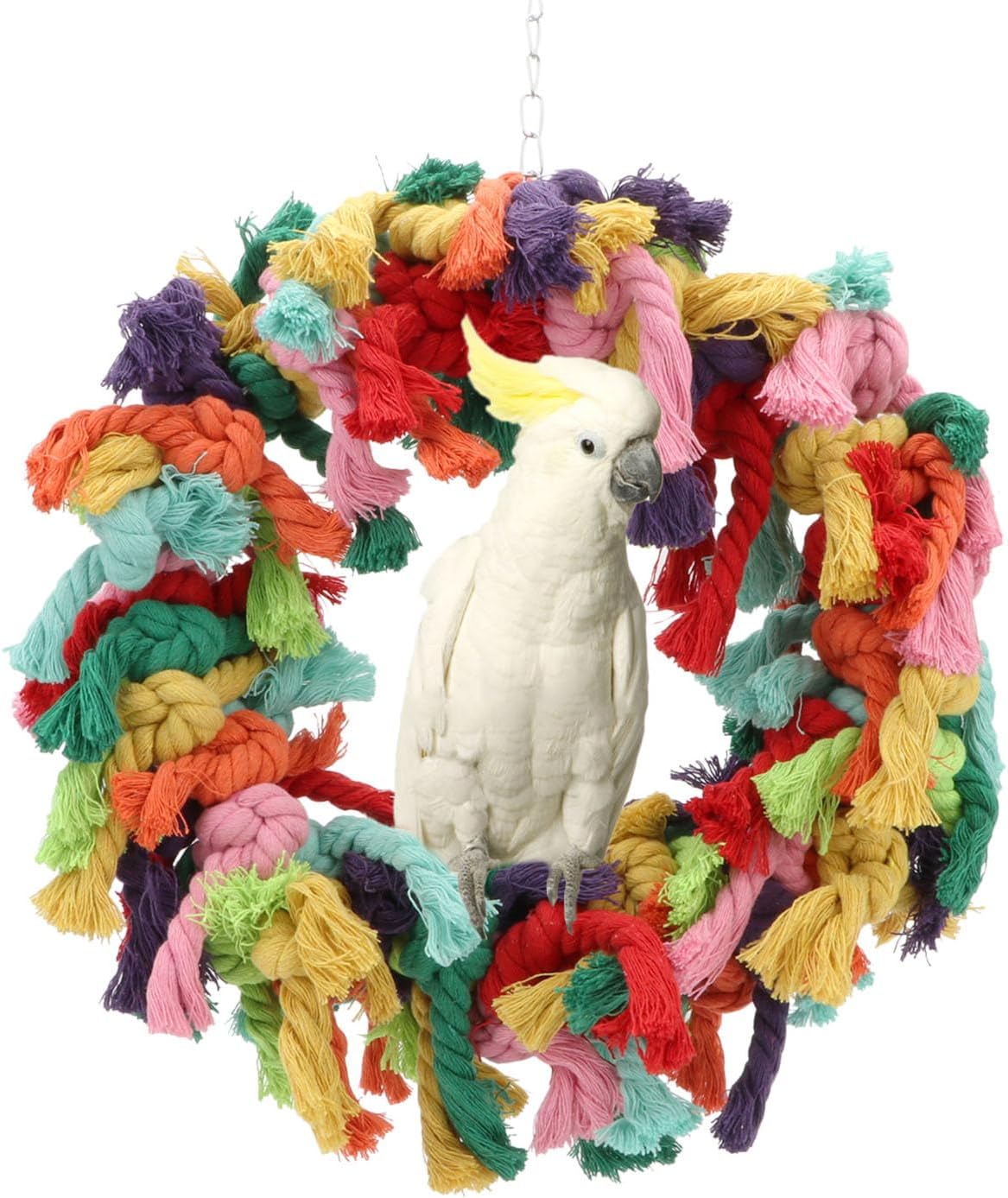 Hypeety Pet Toy Cotton Ring for Parrot Exercise, Chew, Snuggle Bird Toys, 30 cm / 11.8 in Diameter