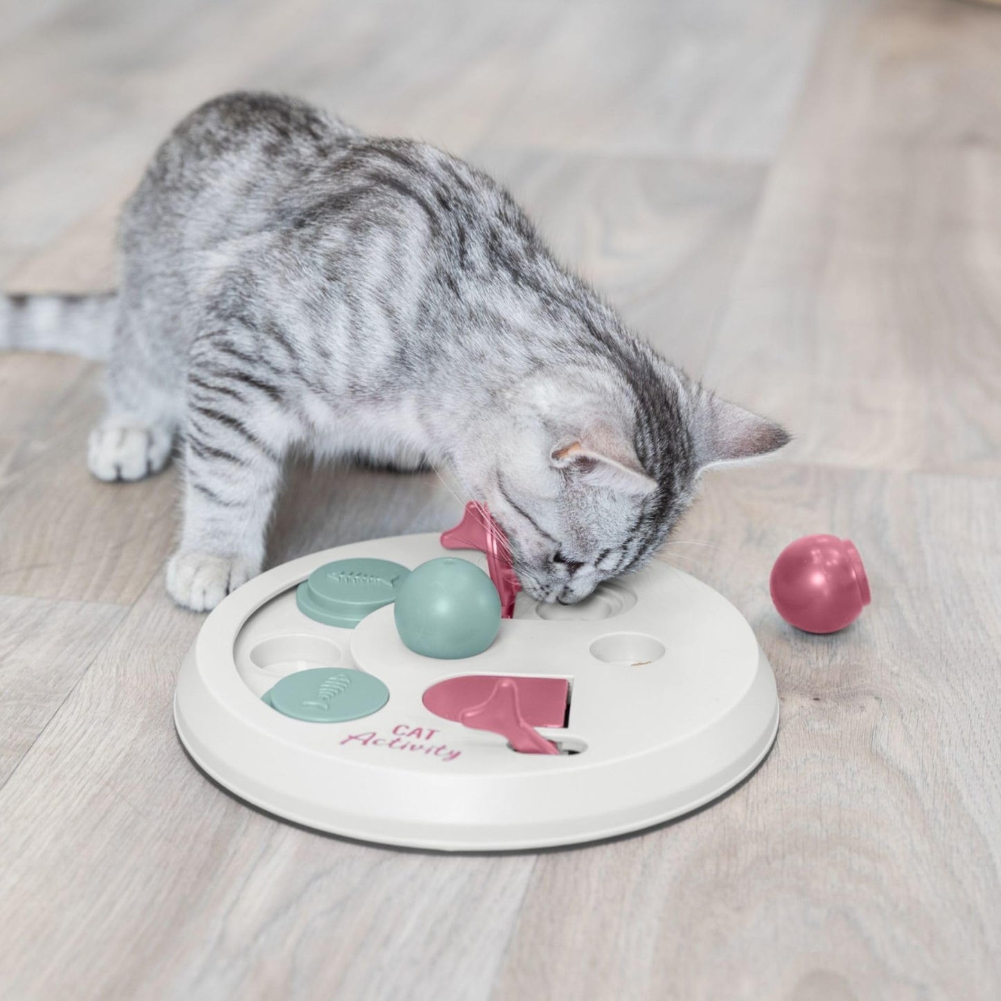 Trixie Cat Activity Flip Board. Chosen for real quality, fits naturally into modern pet homes.