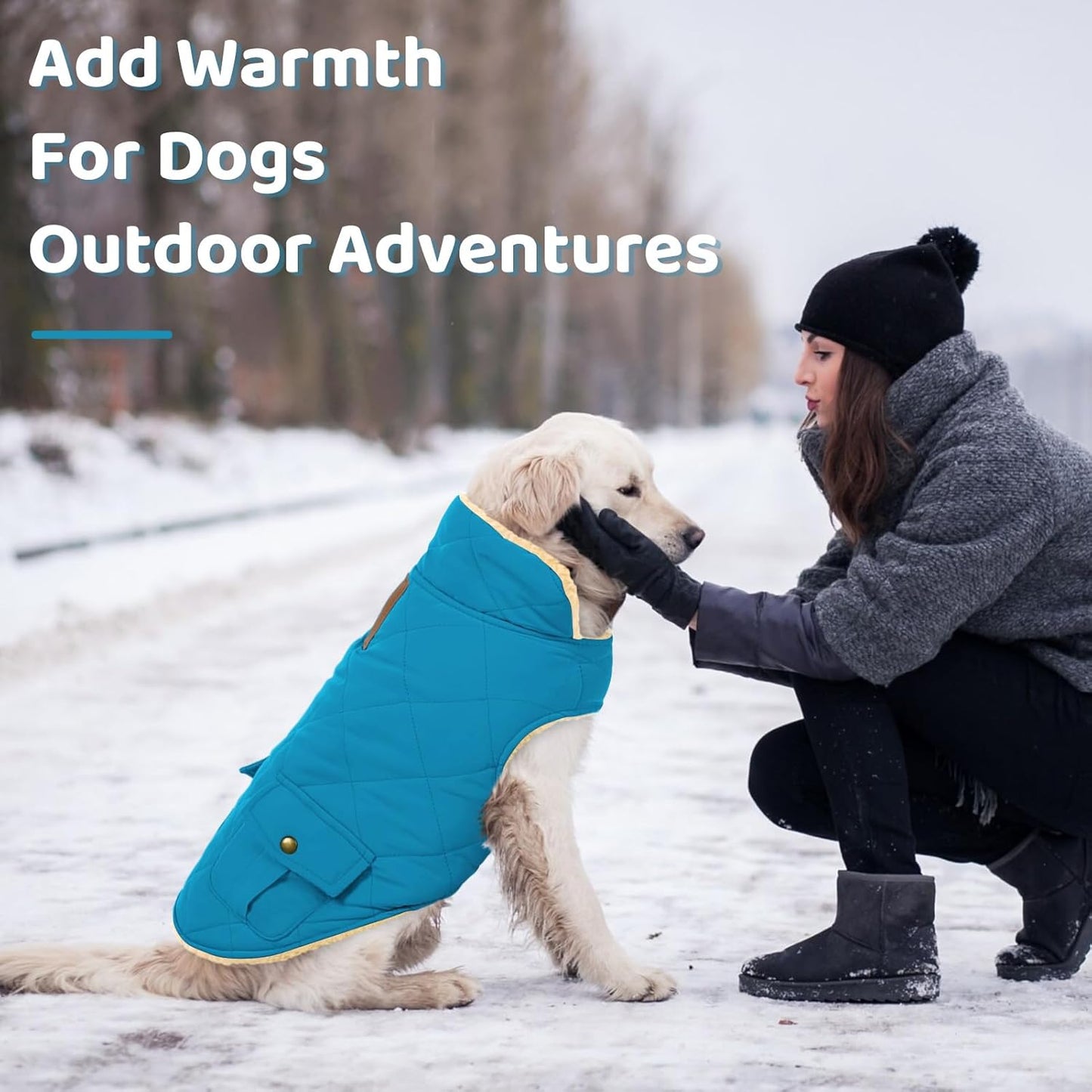 Queenmore Dog Winter Coat Warm Puffer Jacket Waterproof Plush Lining Thermal Cold Weather Vest for Small Medium Large Dogs, Windproof Easy On Pet Jacket Blue L