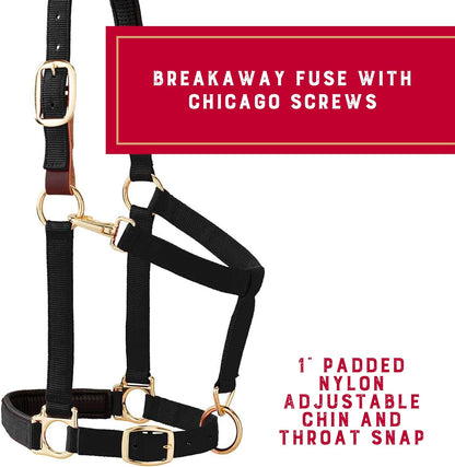 Weaver Equine Breakaway Horse Halter, Comfort Foam Padding, Adjustable Chin & Throat Snap Halters for Horses, Equine Tack,Average Size