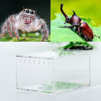 REPTI ZOO Magnetic Acrylic Case 4.1"x3.3"x2.5" Nano Enclosure Reptile Breeding Box Terrarium Cage Tank Tarantula Scorpion Sling Isopods Lizards Roach Invertebrates Insect Mantis
