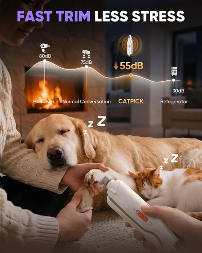 CATPICK 2. Chosen for real quality, fits naturally into modern pet homes.