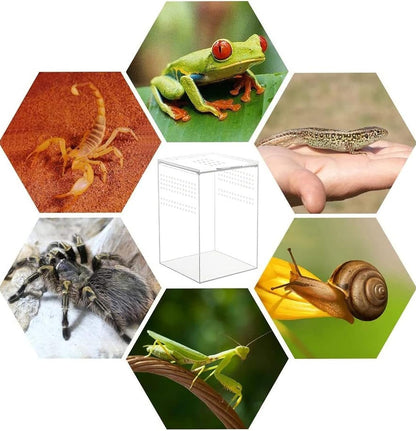 Magnetic Acrylic Case, micro habitat small Tarantula Enclosure enclosure for arboreal Tarantula Scorpion Sling Lizards Mantis Snake Gecko jumping spider snail Insect Isopods (4.7*4.7*7.8 inch)