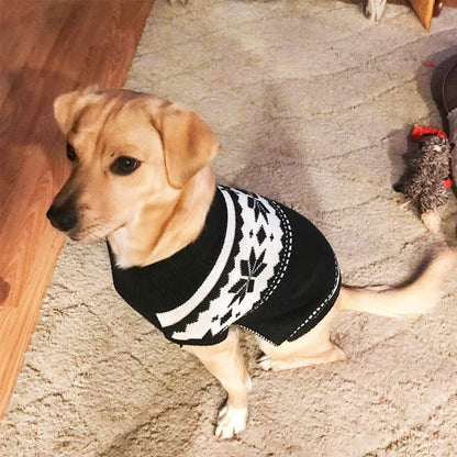 Mihachi Dog Sweater. Chosen for real quality, fits naturally into modern pet homes.