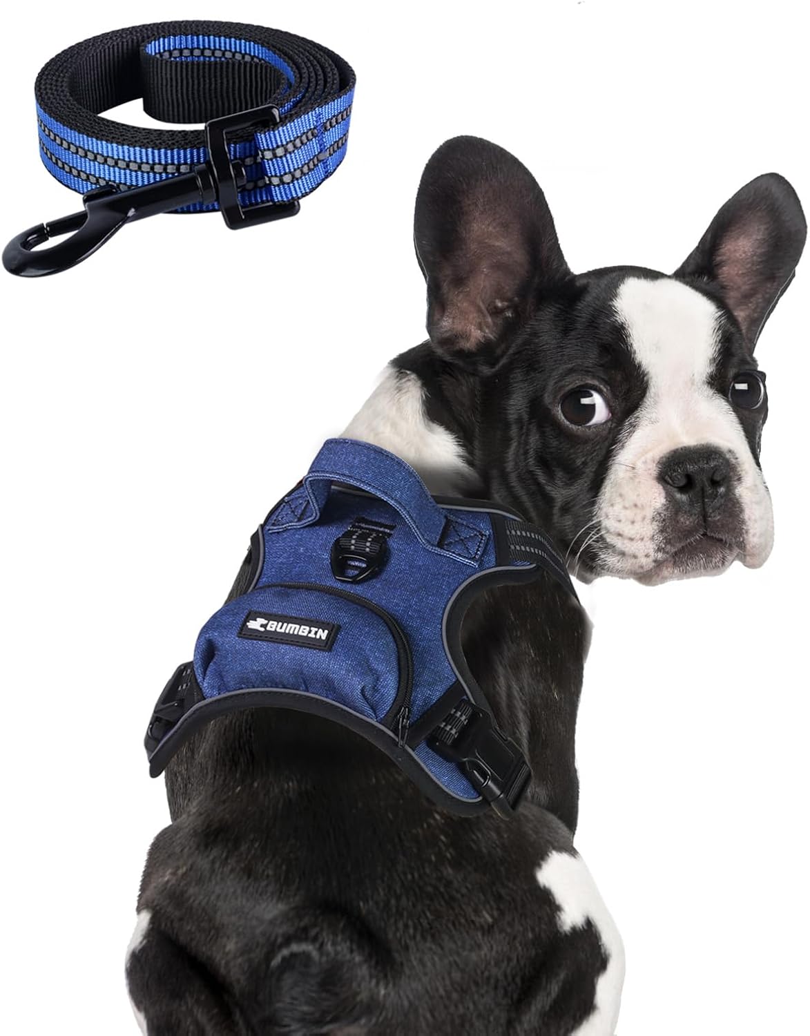 BUMBIN Dog Harness for Large Dogs, No Pull Adjustable No Choke Pet Vest with Dog Leash Fit Smart Reflective Pet Walking Harness for Training Easy Control Soft Handle Denim Blue L