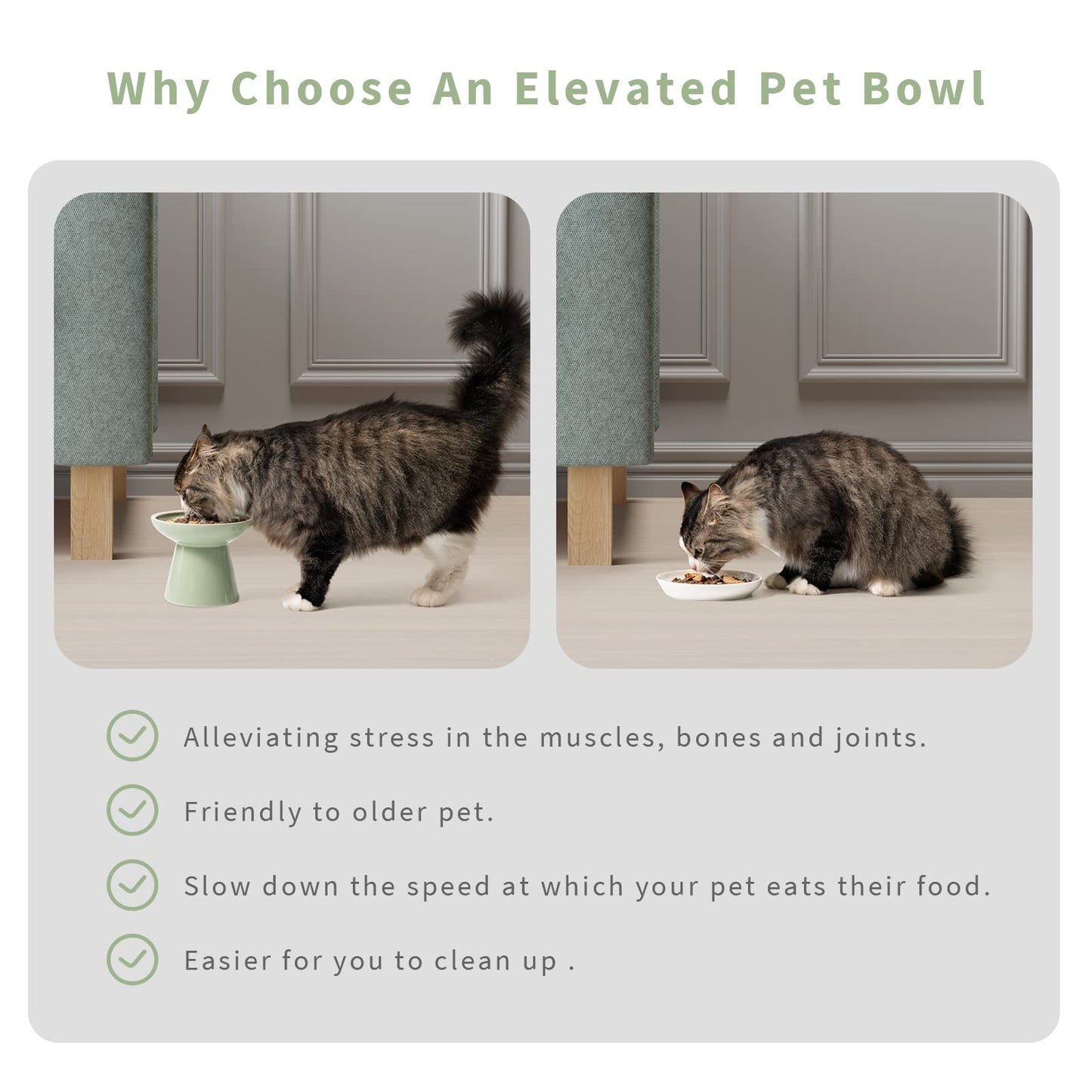 CEEFU 2. Chosen for real quality, fits naturally into modern pet homes.