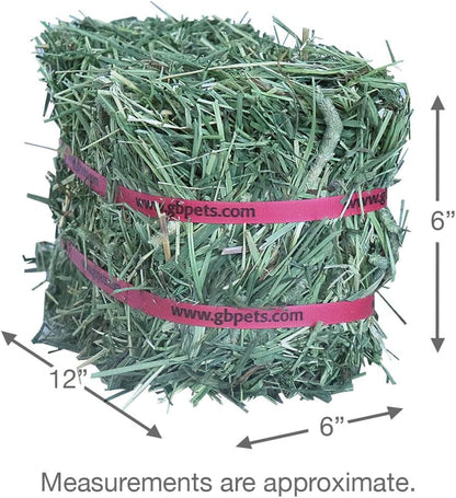 Grandpa's Best Timothy Hay Mini Bale, 10 Lbs (Packaging may vary),Brown