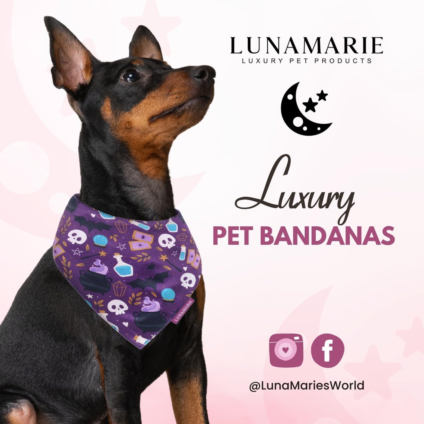 LunaMarie - Luxury Pet Birthday Bandanas -Premium & Silky Poly Fabric | 100% Handmade | Custom Shape Dual Layered (Bewitched, Small)