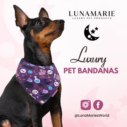 LunaMarie - Luxury Pet Birthday Bandanas -Premium & Silky Poly Fabric | 100% Handmade | Custom Shape Dual Layered (Bewitched, Small)