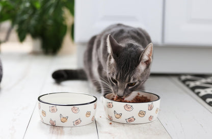 Pearhead Ceramic Cat Bowl. Chosen for real quality, fits naturally into modern pet homes.