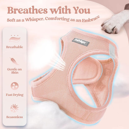 rabbitgoo Dog Harness Small Sized and Leash Set, Step in Soft Light Puppy Vest, Breathable Mesh Pet Harness, Reflective for Outdoor Safe Walking, Pink XXL
