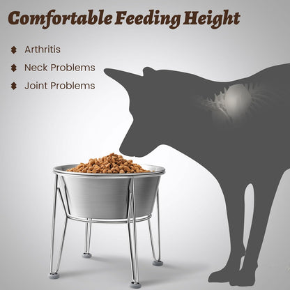 Elevated Dog Bowls for Medium&Small Dogs - Stainless Steel 48oz/6 Cups Raised Feeder with Non-Slip Base, Dual Food & Water Bowls 2-Pack