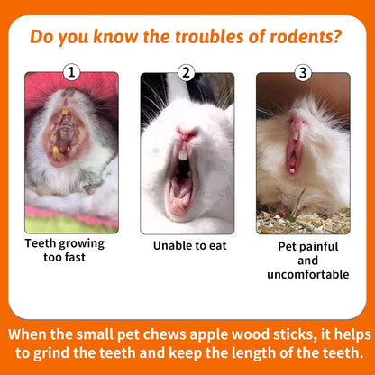 Fhiny 12 PCS Guinea Pigs Chew Toys, Natural Apple Branch Seagrass Molar Sticks for Teeth Bunny Chew Toys Cage Accessories for Guinea Pigs Rabbit Bunny Hamster Chinchilla