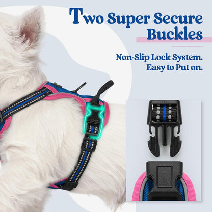 rabbitgoo Dog Harness No Pull with 2 Leash Clips, Adjustable Soft Padded, Reflective Oxford No Choke Pet Vest with Easy Control Handle for Large Dogs, Blue & Hot Pink, XS