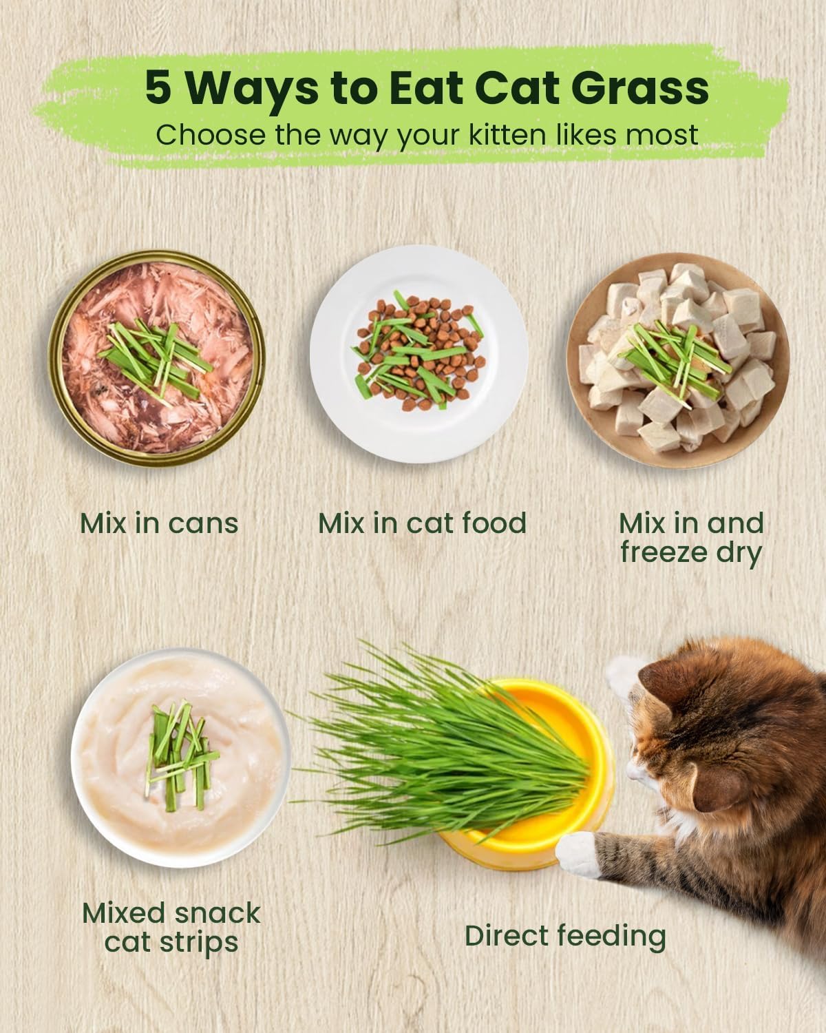 Cat Grass for Indoor Cats. Chosen for real quality, fits naturally into modern pet homes.