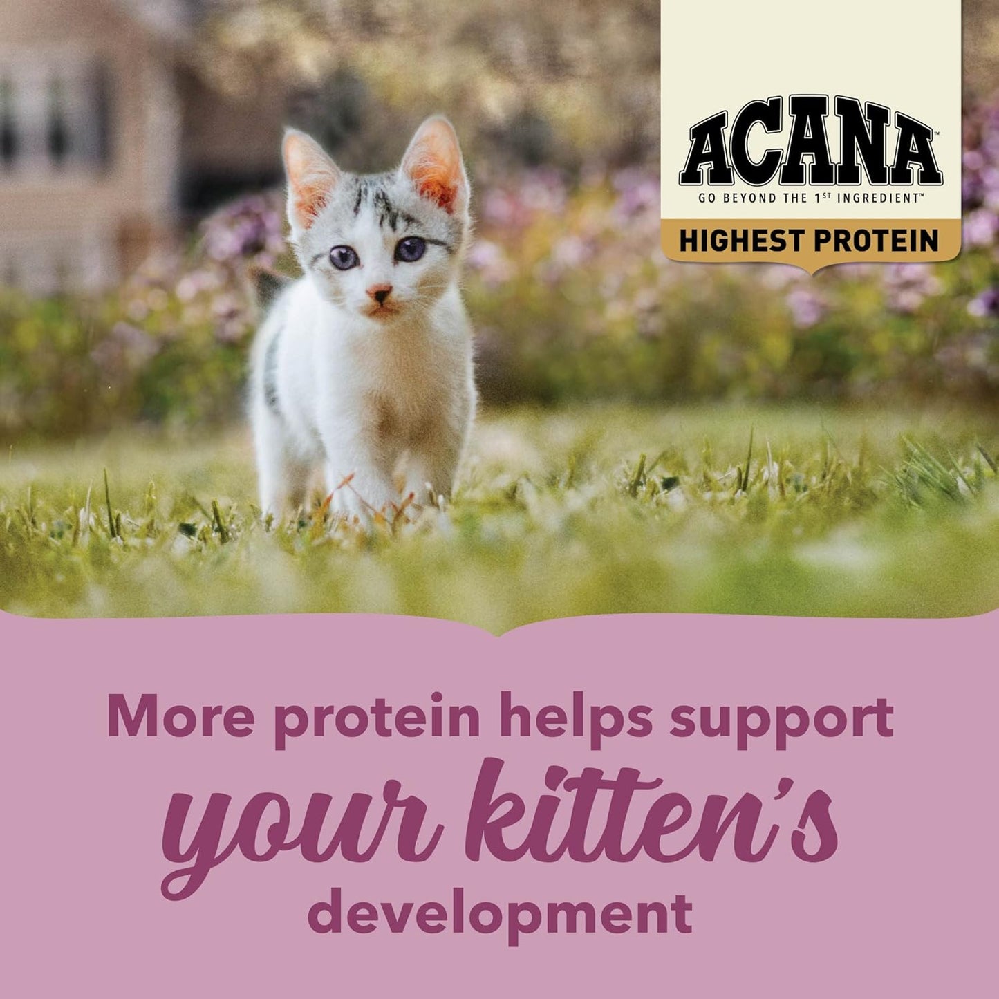 ACANA Highest Protein Dry Cat Food Kitten Recipe 4lb Bag