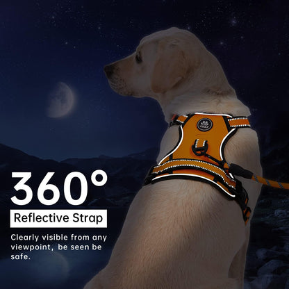 IVY&LANE No Pull Dog Harness for Large Dogs, Dog Vest Harness with Leash, Safety Belt and Storage Strap, Fully Adjustable Harness, 360° Reflective Strip, Soft Handle (Orange, L)