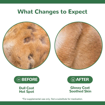 Dog Allergy Chews, 30PCS Dog Itching Skin Relief with Probiotics Omega 3, Allergy Relief for Dogs Itching Licking Paws, Support Seasonal Allergy, Gut & Digestive Health and Immune System