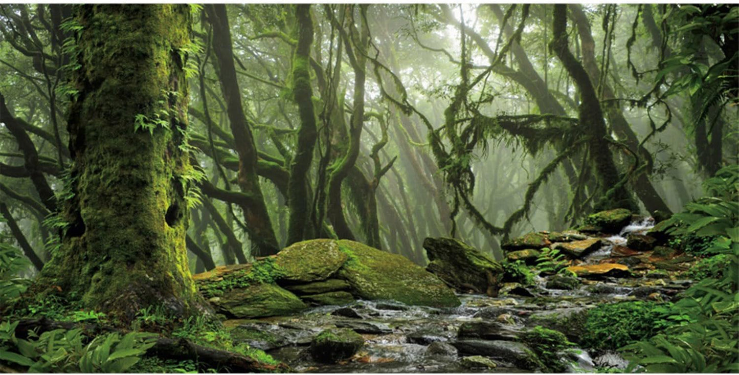 AWERT Foggy Forest Terrarium Background - Stream Green Huge Tree Reptile Habitat - Tropical Rainforest Aquarium - 72x16 inches - Durable Polyester