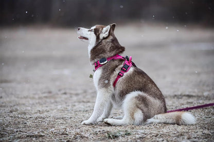 TRUE LOVE Truelove Adjustable No-Pull Dog Harness Reflective Pup Vest Harnesses Comfortable Control Brilliant Colors TLH5651(Fushcia,M)