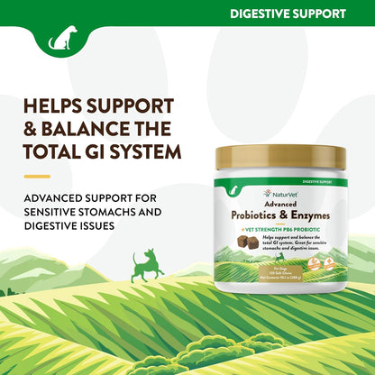 NaturVet Advanced Probiotics & Enzymes, PB6 Dog Soft Chews to Help Sensitive Stomachs and Digestive Issues, Hickory Smoked Bacon Flavored Pet Supplement for Dogs Over 6 Weeks, 120 Count Jar