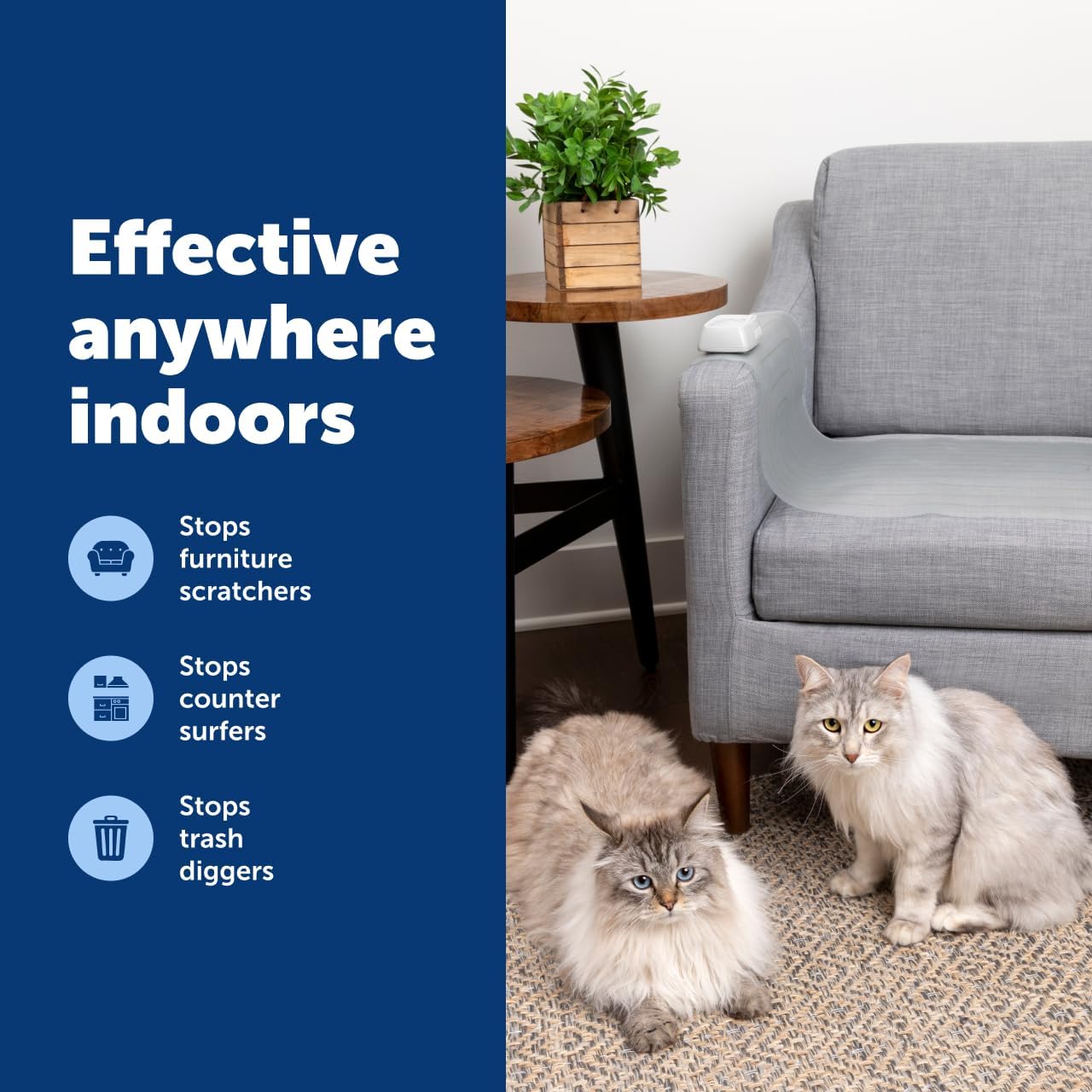 PetSafe ScatMat Indoor Pet Training Mats - Helps Prevent Furniture Climbing - Adjustable Correction Mat - Touch-Activated Design - LCD Pet Mat Controller - Battery Operated - Medium, 30" x 16"