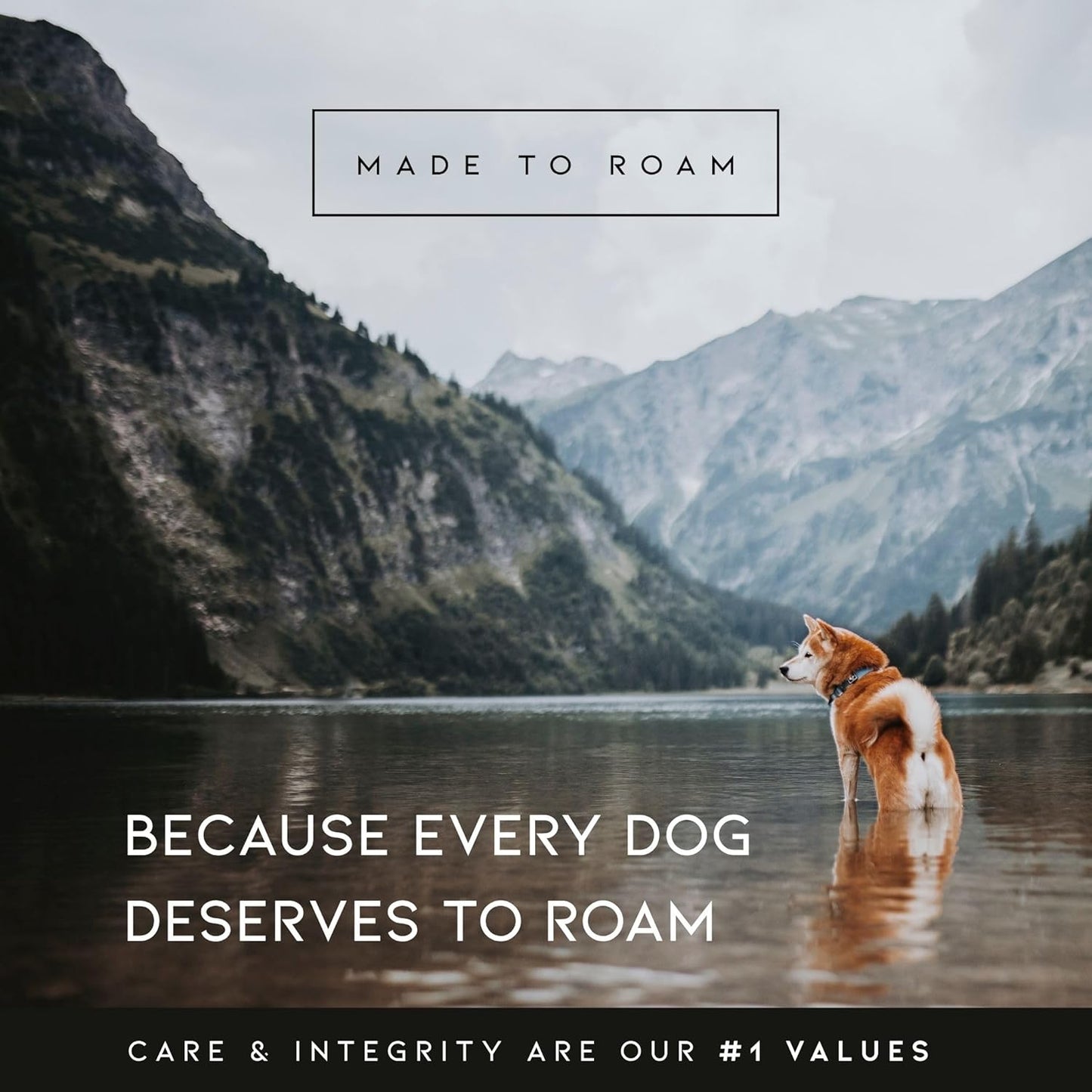 MADE TO ROAM Premium Explorer Harness - Y-Shaped Dog Harness with Adjustable Durable Nylon, Soft Padding, Metal Buckles and Leather Handle for Small, Medium, Large Dogs (Nevada Evening, Size 6)