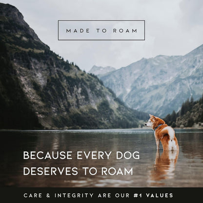 MADE TO ROAM Premium Explorer Harness - Y-Shaped Dog Harness with Adjustable Durable Nylon, Soft Padding, Metal Buckles and Leather Handle for Small, Medium, Large Dogs (Nevada Evening, Size 2)