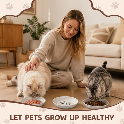 YINEYA 3 Pack Cat Food Bowls. Chosen for real quality, fits naturally into modern pet homes.