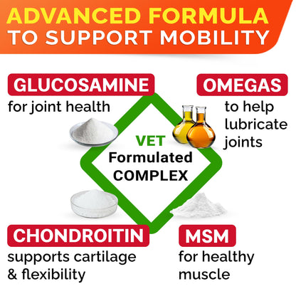 Advanced Glucosamine for Dogs. Chosen for real quality, fits naturally into modern pet homes.