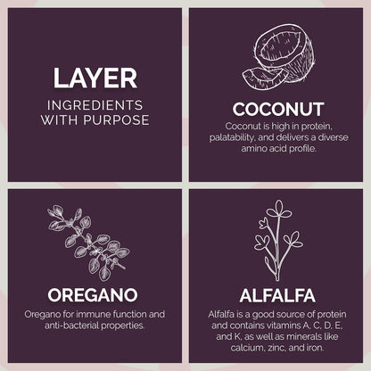 Layer Pellet Feed, 40lbs - Non-GMO, High-Protein Poultry Feed for Healthy Hens & Nutritious Eggs, 17.5% Protein - USDA Certified Organic Blend, Soy & Corn-Free