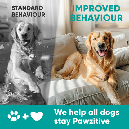 Hemp Calming Chews for Dogs. Chosen for real quality, fits naturally into modern pet homes.