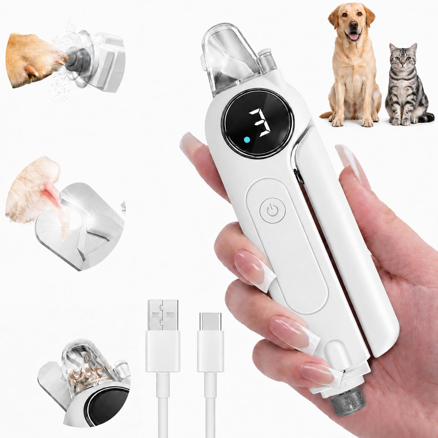 2. Chosen for real quality, fits naturally into modern pet homes.