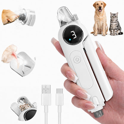 2. Chosen for real quality, fits naturally into modern pet homes.