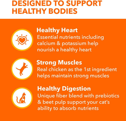 IAMS Proactive Health Adult Healthy Dry Cat Food with Chicken, 16 lb. Bag