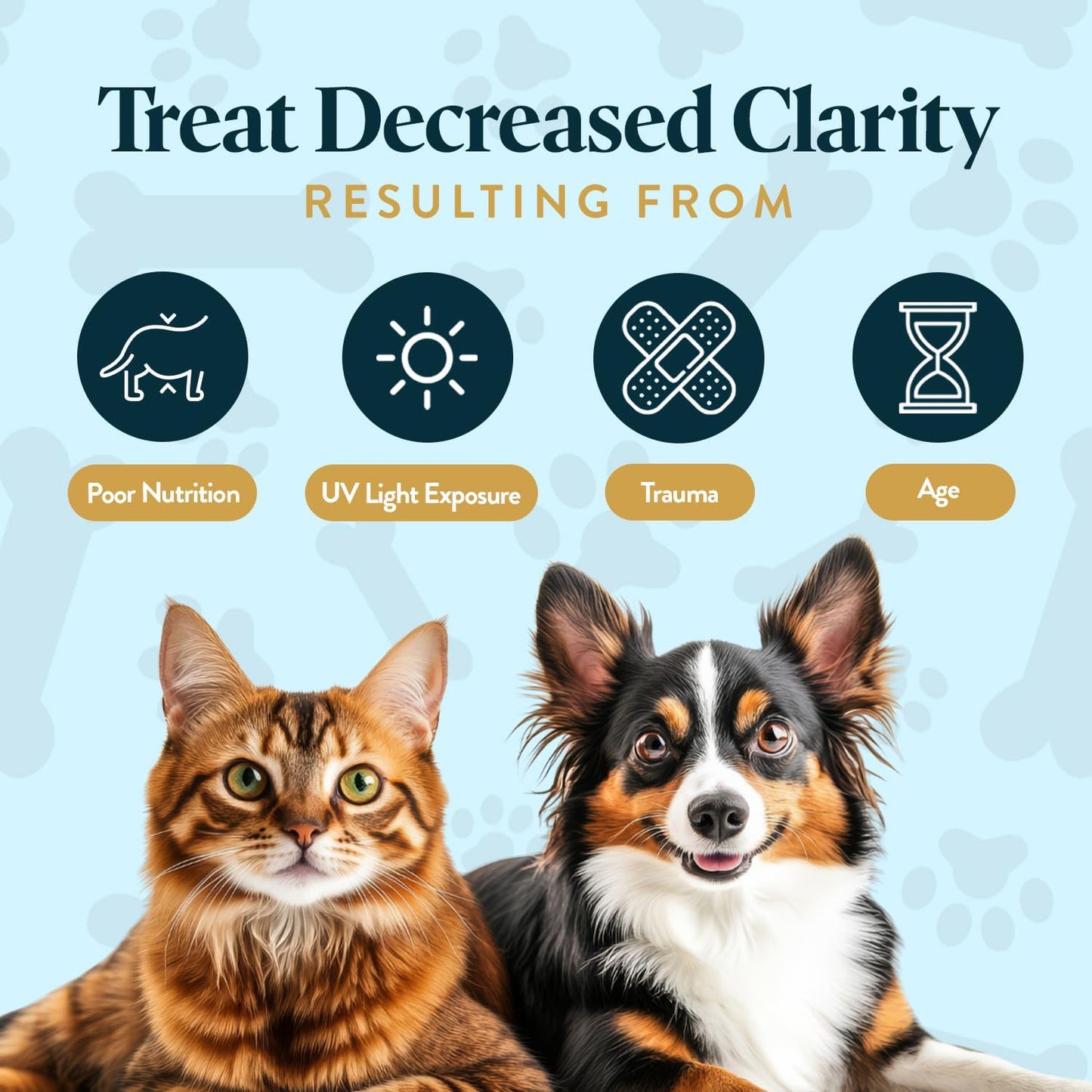 Bundle Eye Supplements for Dogs & Cats | Vision Chews with Omega-3 for All Ages | Includes 30 Chicken Liver Flavored Chews & Pet Eye Drops, 16 mL | Antioxidants & 2% NAC for Cataracts
