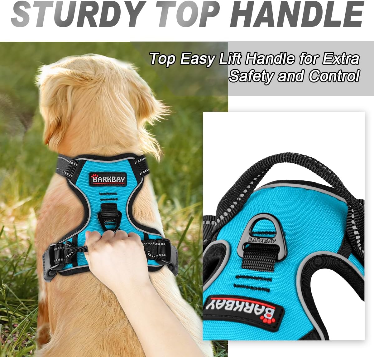BARKBAY No Pull Dog Harness Front Clip Heavy Duty Reflective Easy Control Handle for Large Dog Walking(Blue,M)