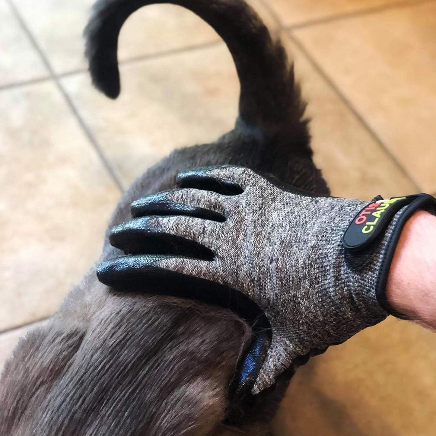 Pet Grooming Gloves for Dogs & Cats. Chosen for real quality, fits naturally into modern pet homes.