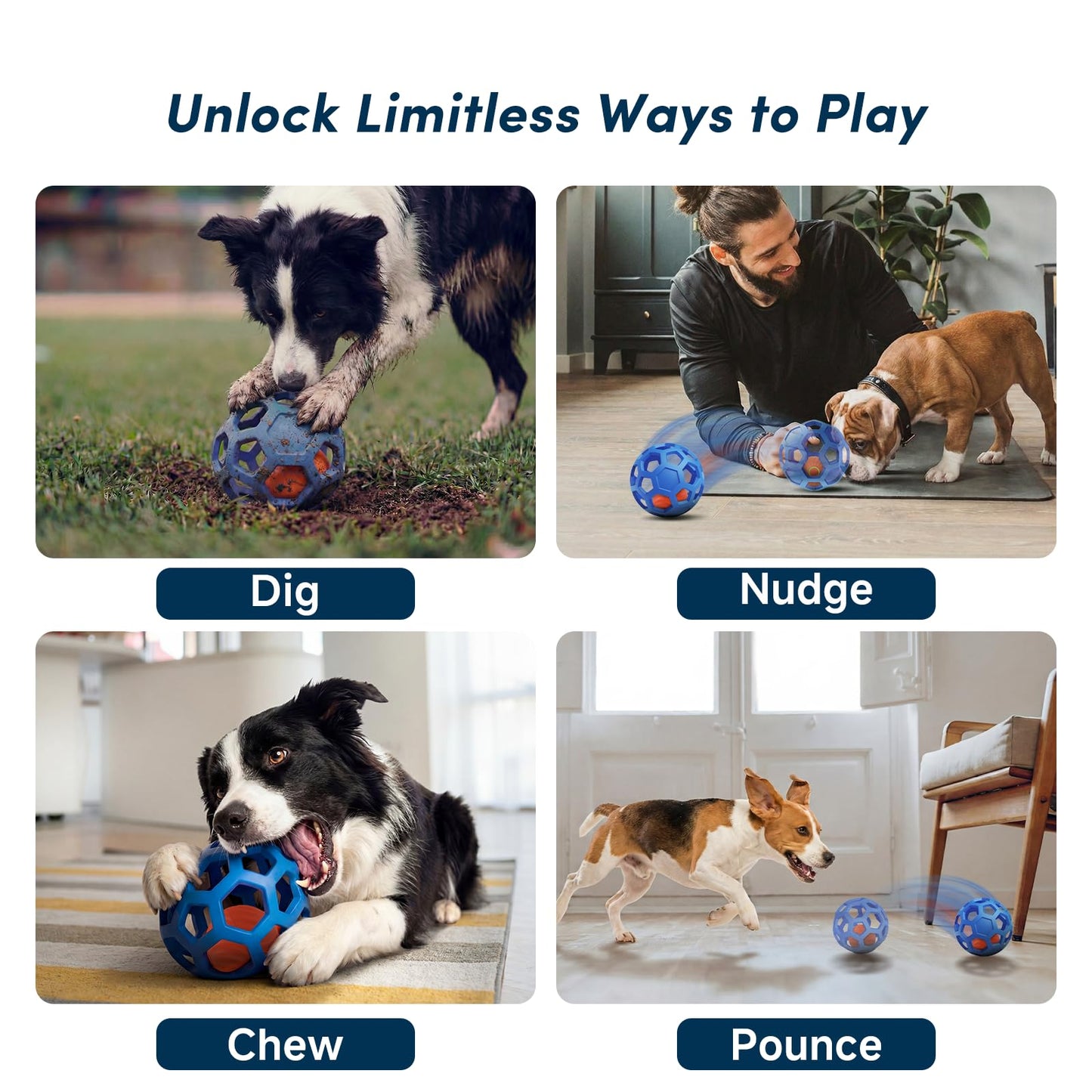Unique Interactive Dog Toy with Ball. Chosen for real quality, fits naturally into modern pet homes.