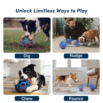 Unique Interactive Dog Toy with Ball. Chosen for real quality, fits naturally into modern pet homes.