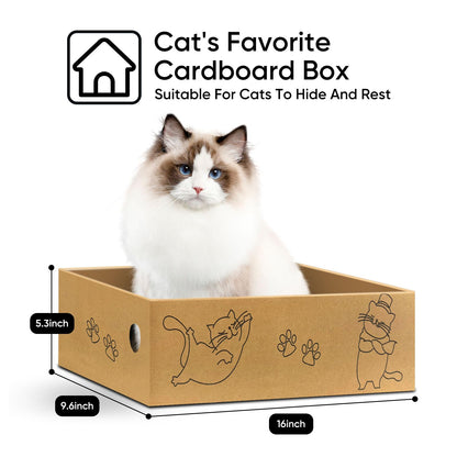 AGYM Cat Scratcher. Chosen for real quality, fits naturally into modern pet homes.