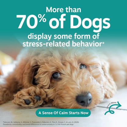 Zesty Paws Calming Chews for Dogs. Chosen for real quality, fits naturally into modern pet homes.