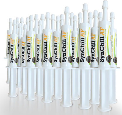 SynChill AF Calming Gel for Nervous Horses - Single Serving - Advanced Formula with L-Theanine, Increased Potency, 100% Natural Supplement, Disposition & Confidence Support for Horses - 25 Pack